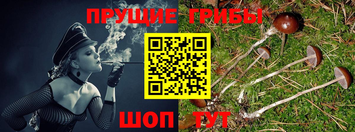Псилоцибиновые грибы мухоморы  Вход с VPN  Тулун 