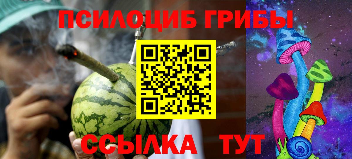 Псилоцибиновые грибы Psilocybine cubensis Тулун