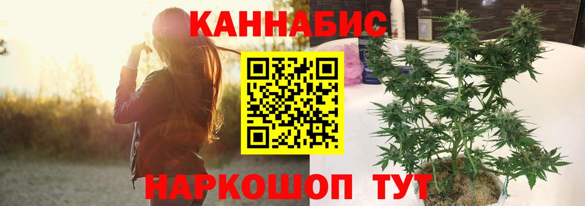 Тулун  Конопля тримм  Вход с VPN  Канабис Amnesia  Конопля ГИДРОПОН 